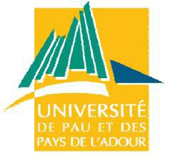 logo pau