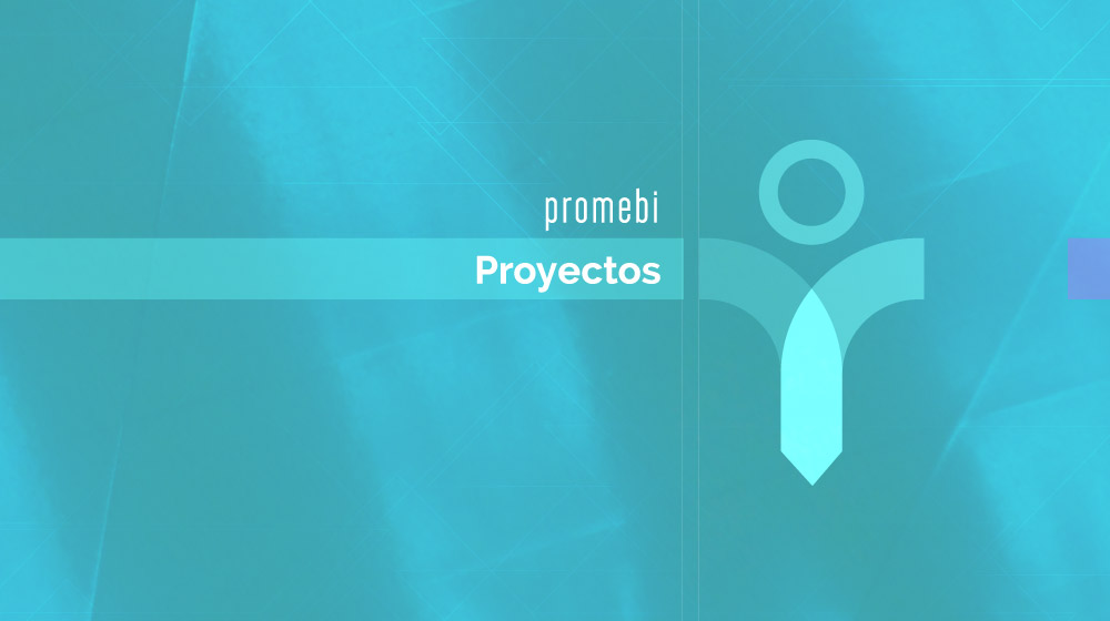 Promebi - Proyectos