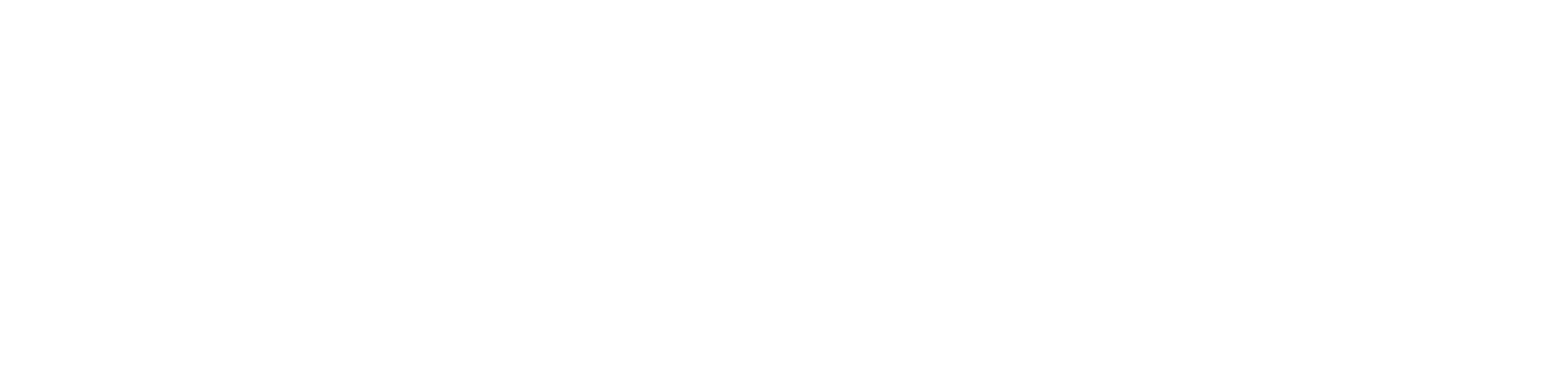 TNP_logo_WHITE