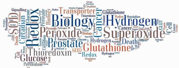Logo-Redox