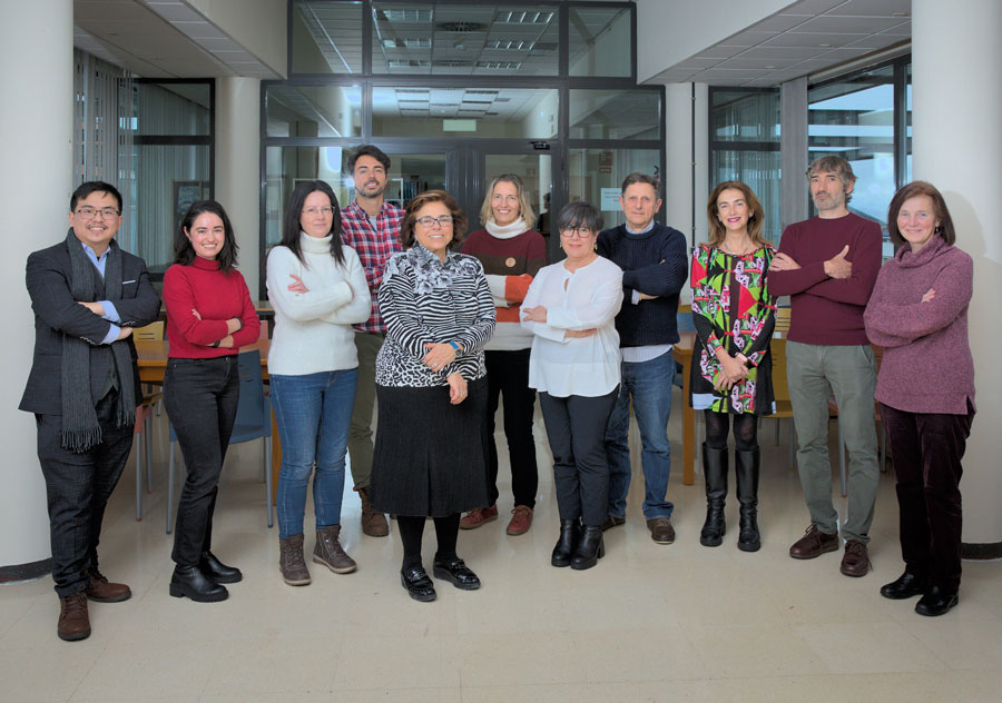 epidemiologiaTeam