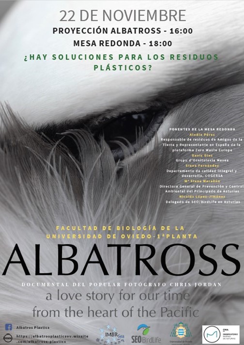 poster-albatros