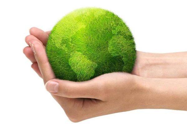 dia mundial del medio ambiente en espana logo 600x400