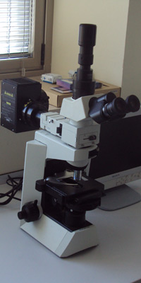 Microscopio