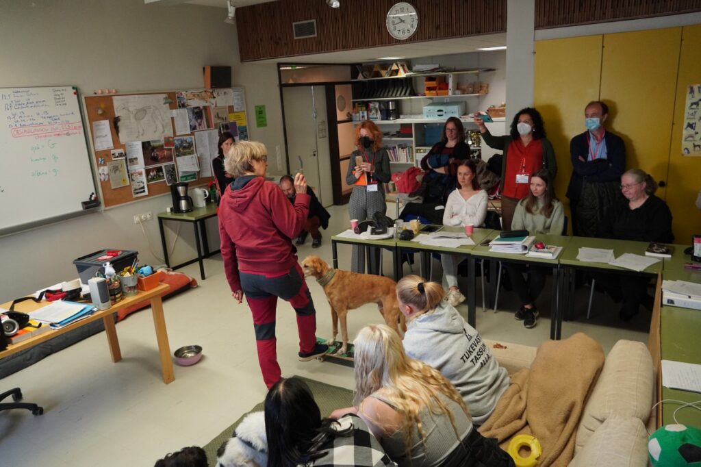 Curso de adistramiento canino en Akan