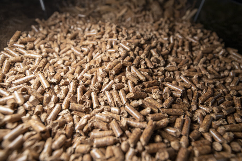 pellets biomasa