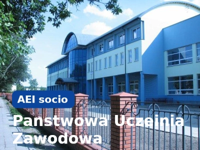 Panstwowa Uczeinia Zawodowa (Polonia)