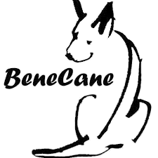 BENECANE protectora de animales : Brand Short Description Type Here.