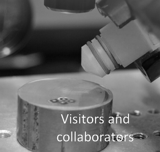 Long term collaborators & Visitors