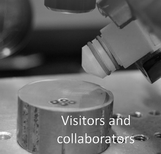 Visitors & Collaborators