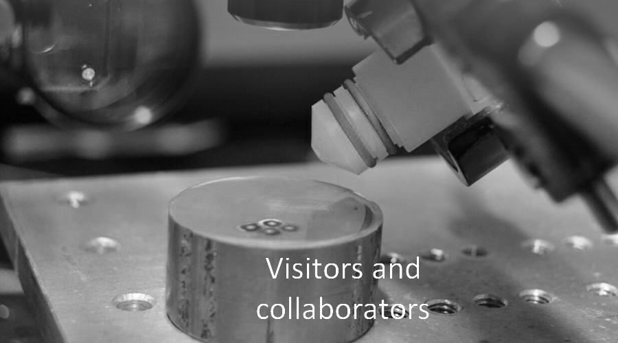 Long term collaborators & Visitors Long term collaborators & Visitors