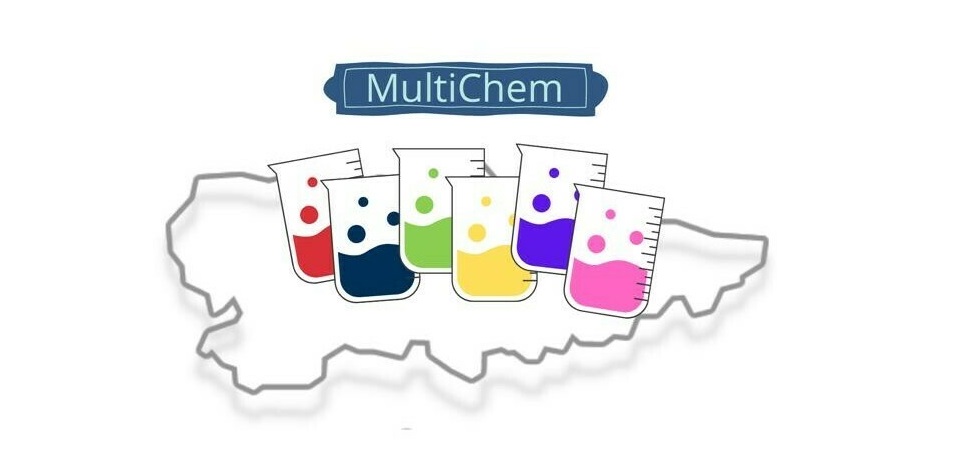 GELP students have participated in the PhD Multidisciplinary Chemical Congress GELP students have participated in the PhD Multidisciplinary Chemical Congress