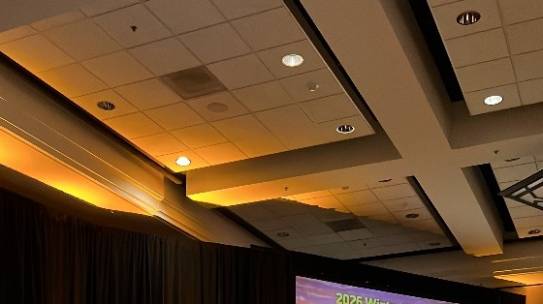 GELP’s researcher Dr. Jaime Orejas presented an invited lecture at the WCPS 2026 in Tucson, Arizona.