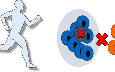 Ejercicio físico: escudo metabólico contra el cáncer