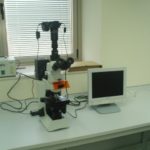 Microscopía óptica/fluorescencia CX41 (Olympus)