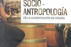 socio-antropología