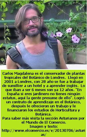 guía EURES